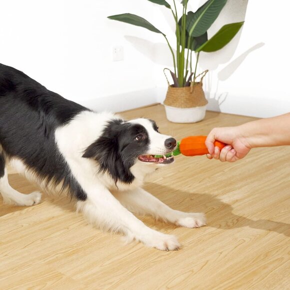 Dog Squeaky Chew Toys for Aggressive Chewers, Rubber Carrot Dog Toys for Trainin - Picture 4 of 6